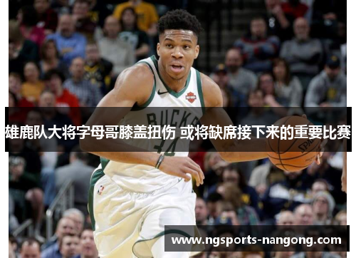 雄鹿队大将字母哥膝盖扭伤 或将缺席接下来的重要比赛