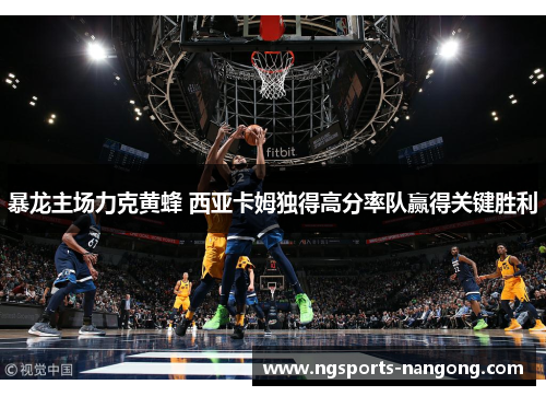 暴龙主场力克黄蜂 西亚卡姆独得高分率队赢得关键胜利
