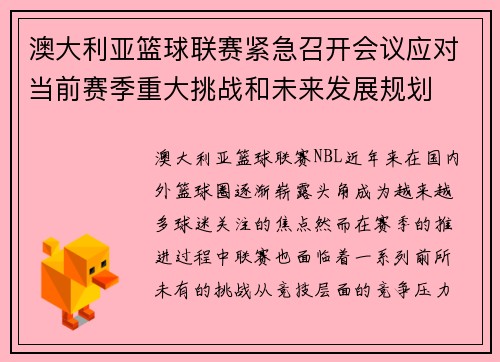 澳大利亚篮球联赛紧急召开会议应对当前赛季重大挑战和未来发展规划