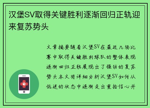 汉堡SV取得关键胜利逐渐回归正轨迎来复苏势头