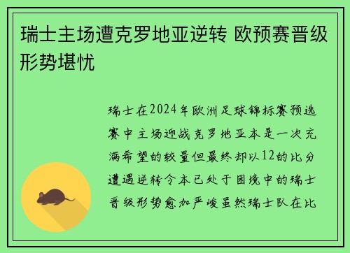 瑞士主场遭克罗地亚逆转 欧预赛晋级形势堪忧
